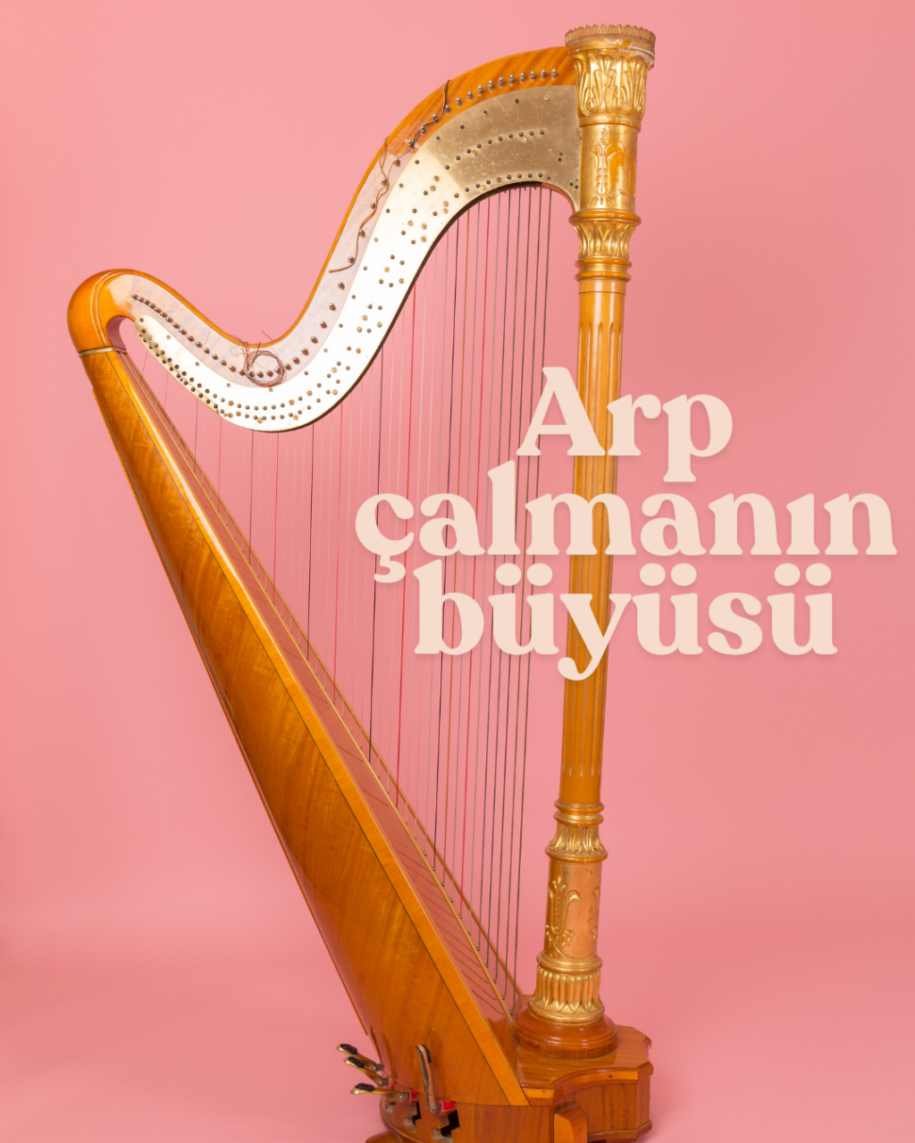 Arp Çalmanın Büyüsü: Başlamak İçin Doğru Yerdesiniz!