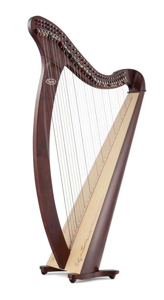 Salvi Donegal Mandallı Arp