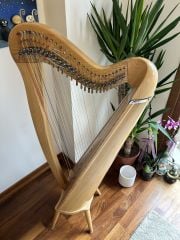 Mikel Harp Saffron 27 Telli Kiralık Arp
