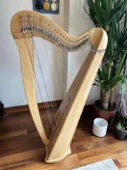 Mikel Harp Saffron 27 Telli Kiralık Arp